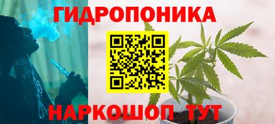 бошки Будённовск